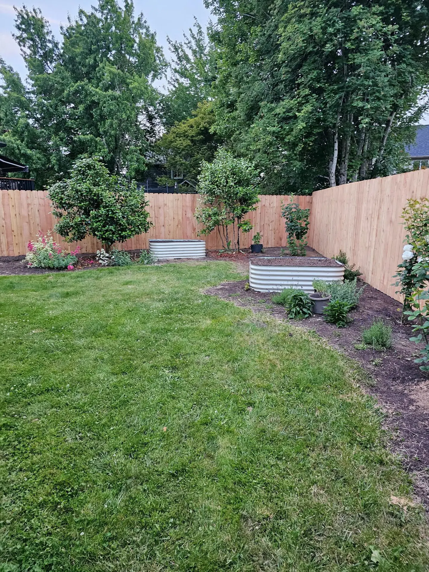 Cedar wood fence replacement